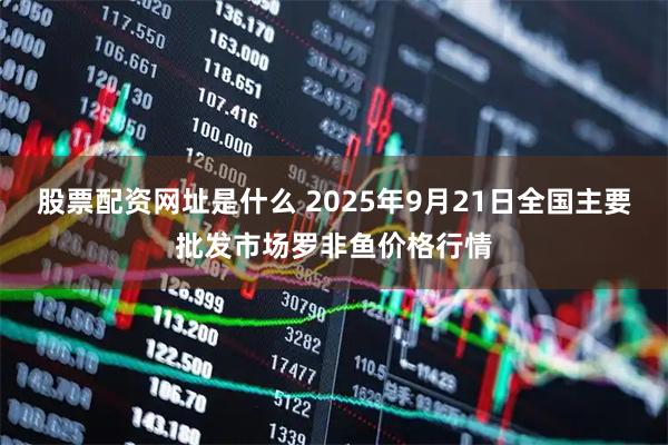 股票配资网址是什么 2025年9月21日全国主要批发市场罗非鱼价格行情